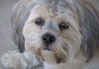 P6150030_small.JPG