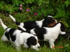 emal_photos_007.JPG