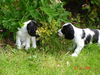 emal_photos_010.JPG