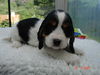 lilly_emial_003.JPG